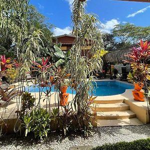 Samara Palm Lodge